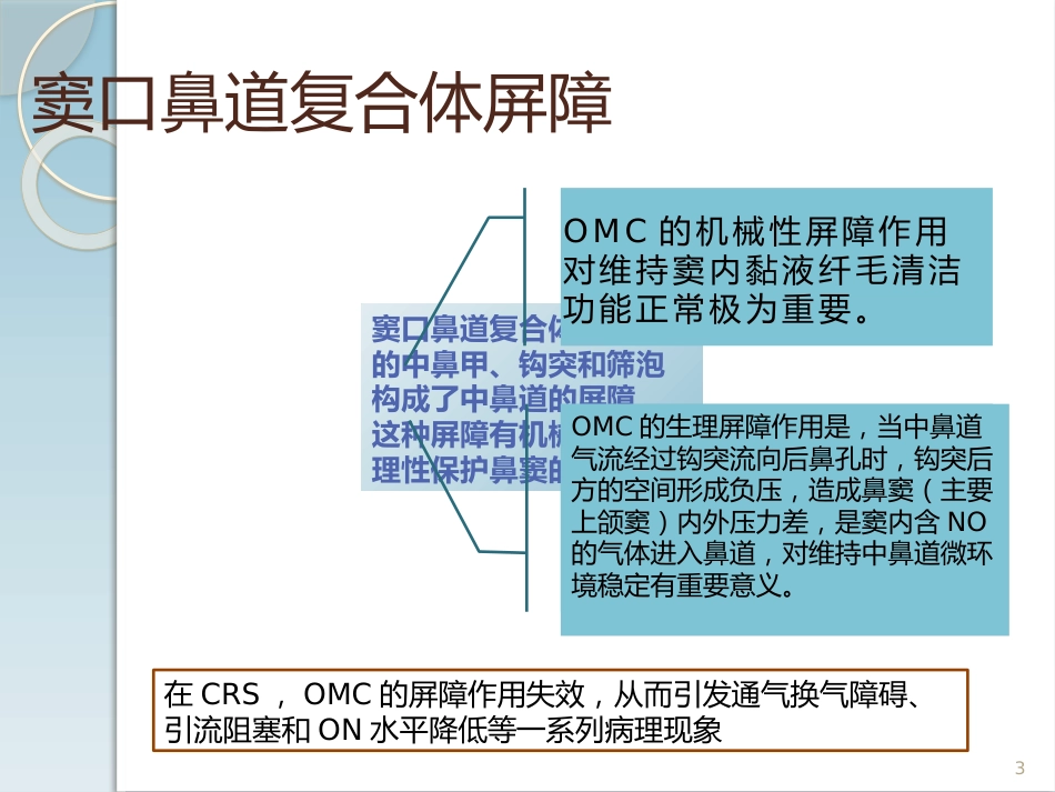 高渗海水在慢性鼻鼻窦炎中的治疗作用PPT医学课件_第3页