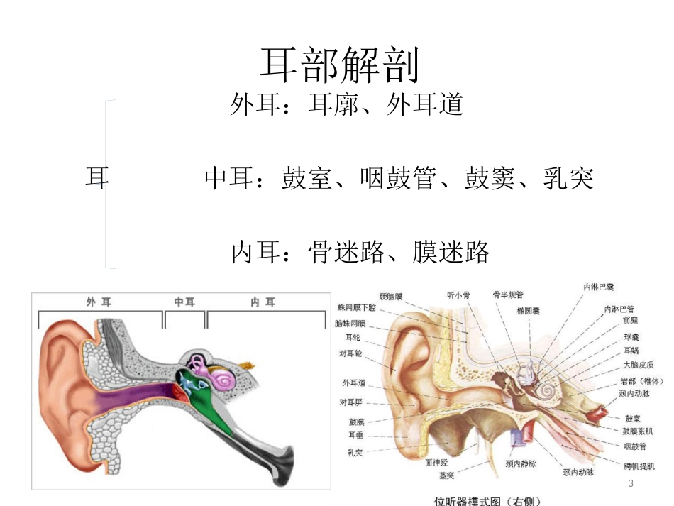 耳鼻喉科一般检查PPT课件_第3页