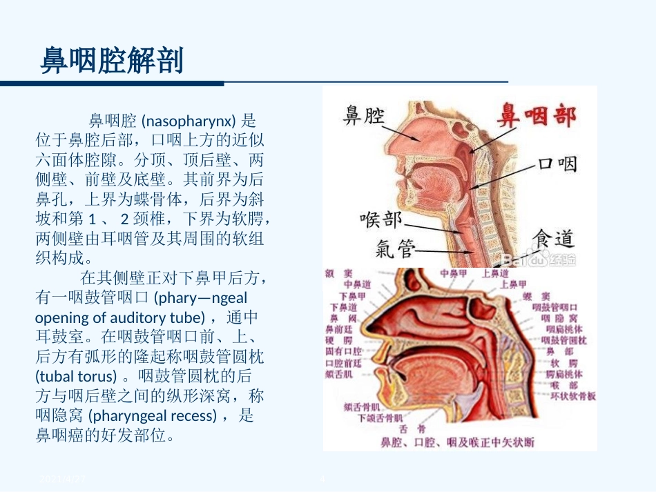 鼻咽癌的放射治疗技术_第4页