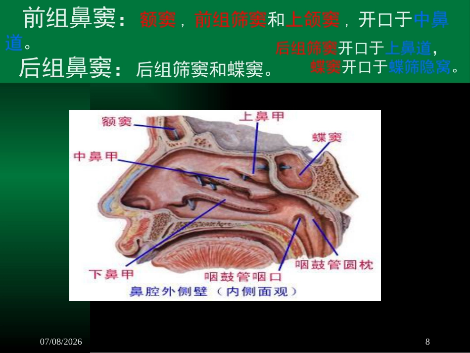 鼻渊_第8页