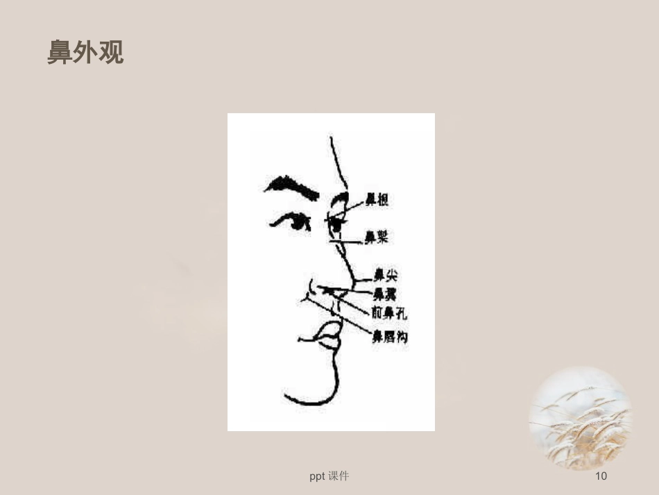 耳鼻喉眼常见病症及治疗 ppt课件_第10页