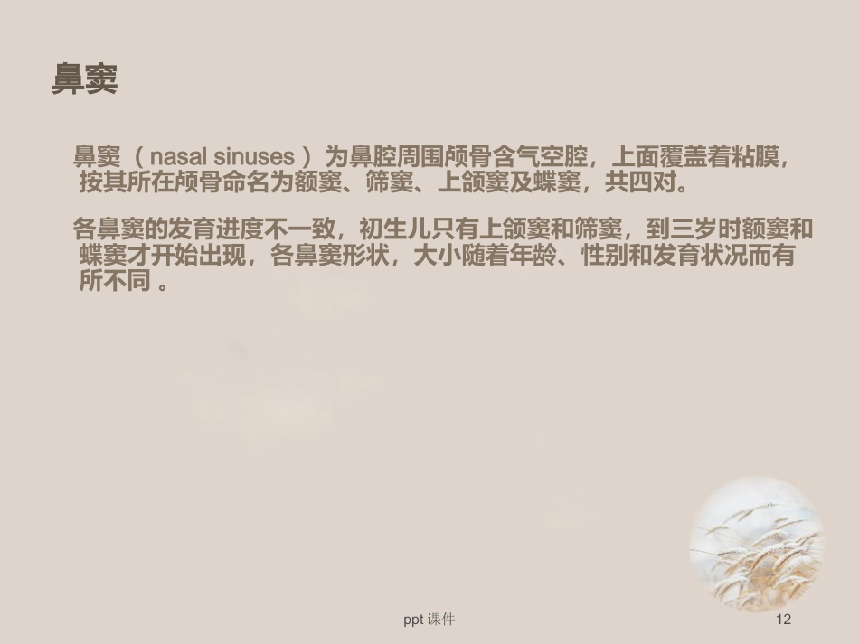 耳鼻喉眼常见病症及治疗 ppt课件_第12页