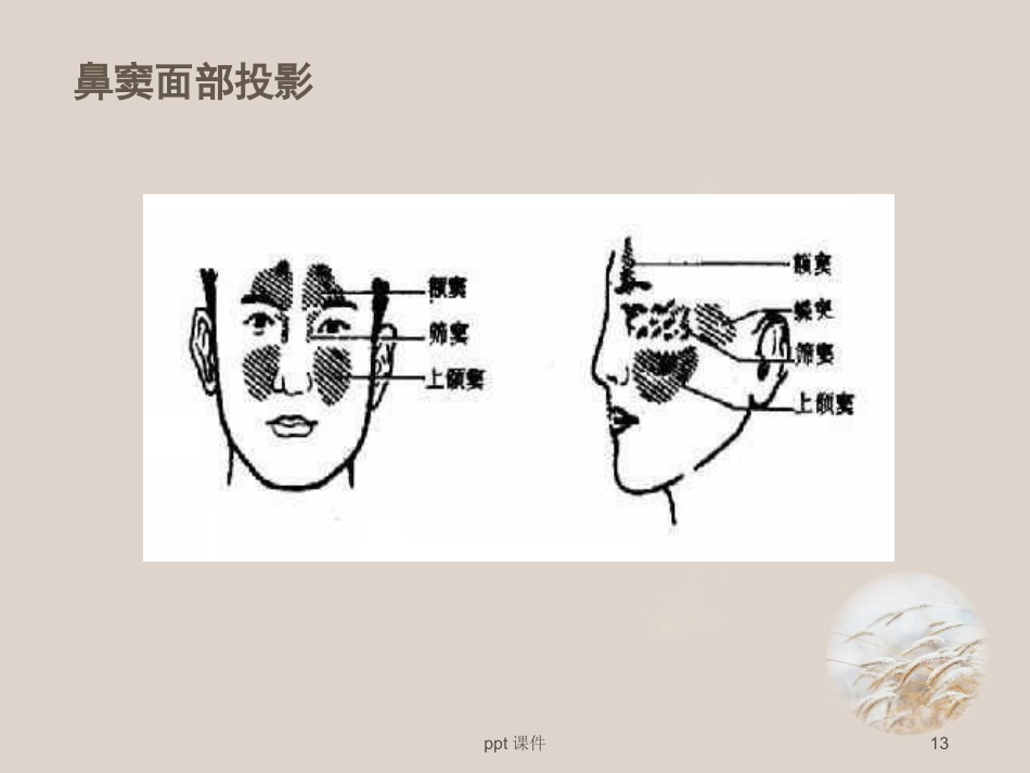耳鼻喉眼常见病症及治疗 ppt课件_第13页
