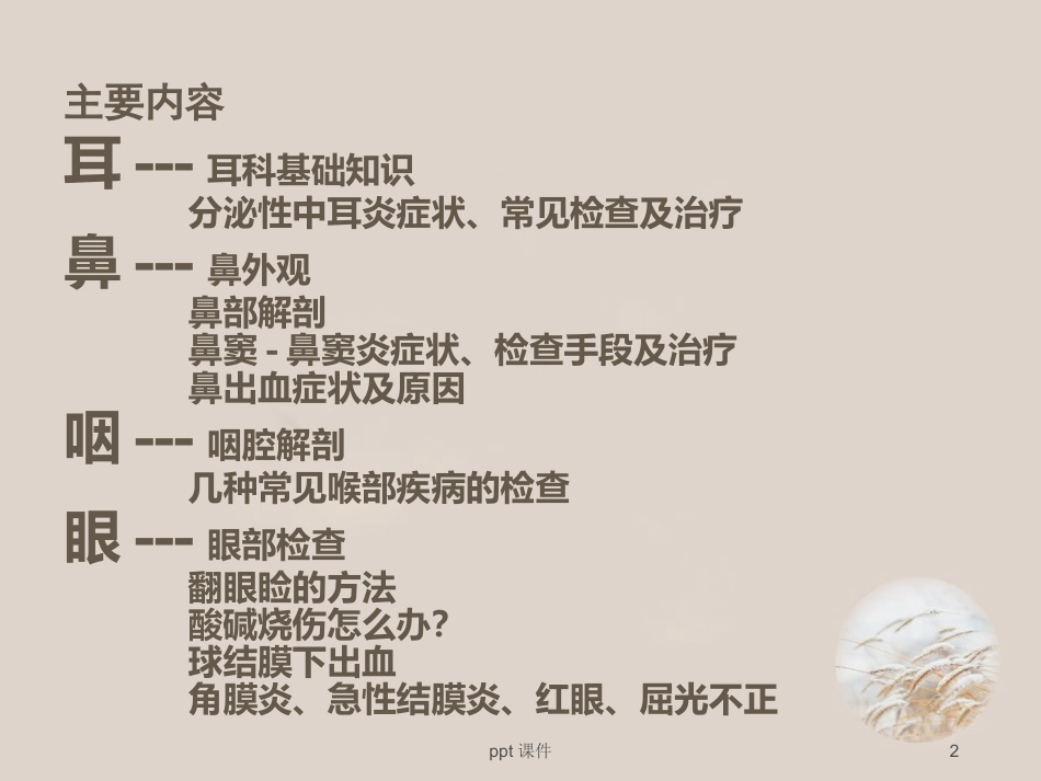 耳鼻喉眼常见病症及治疗 ppt课件_第2页