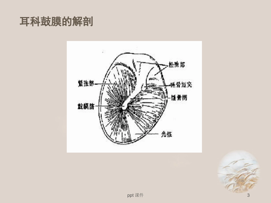 耳鼻喉眼常见病症及治疗 ppt课件_第3页
