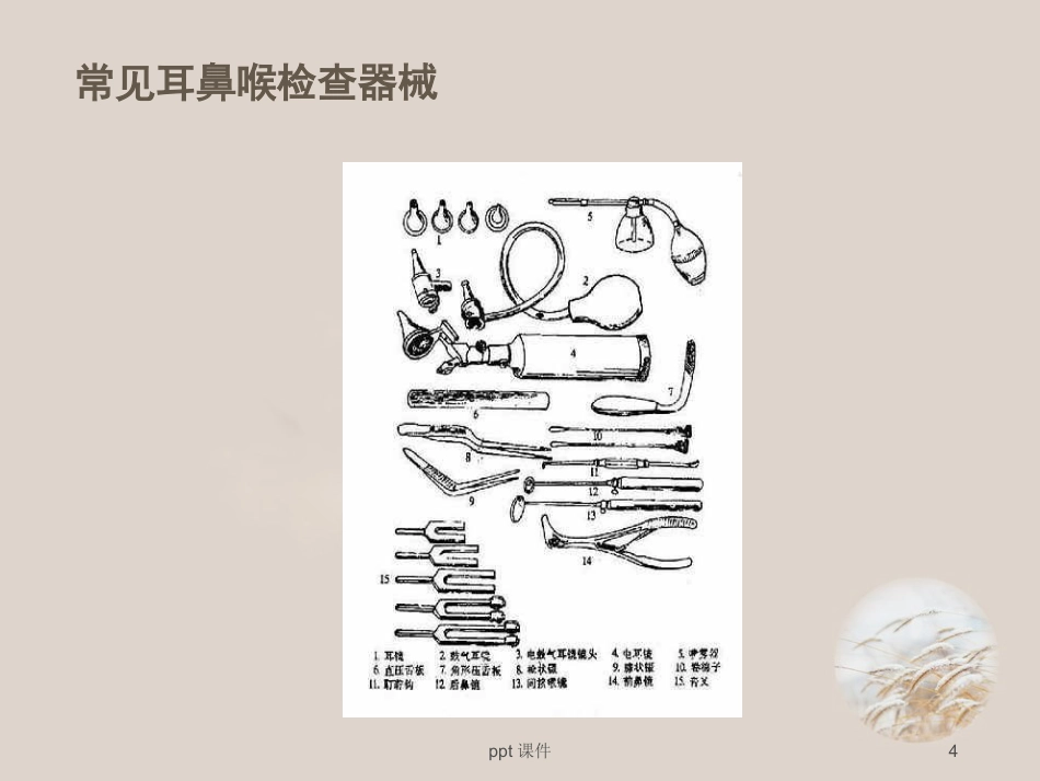 耳鼻喉眼常见病症及治疗 ppt课件_第4页