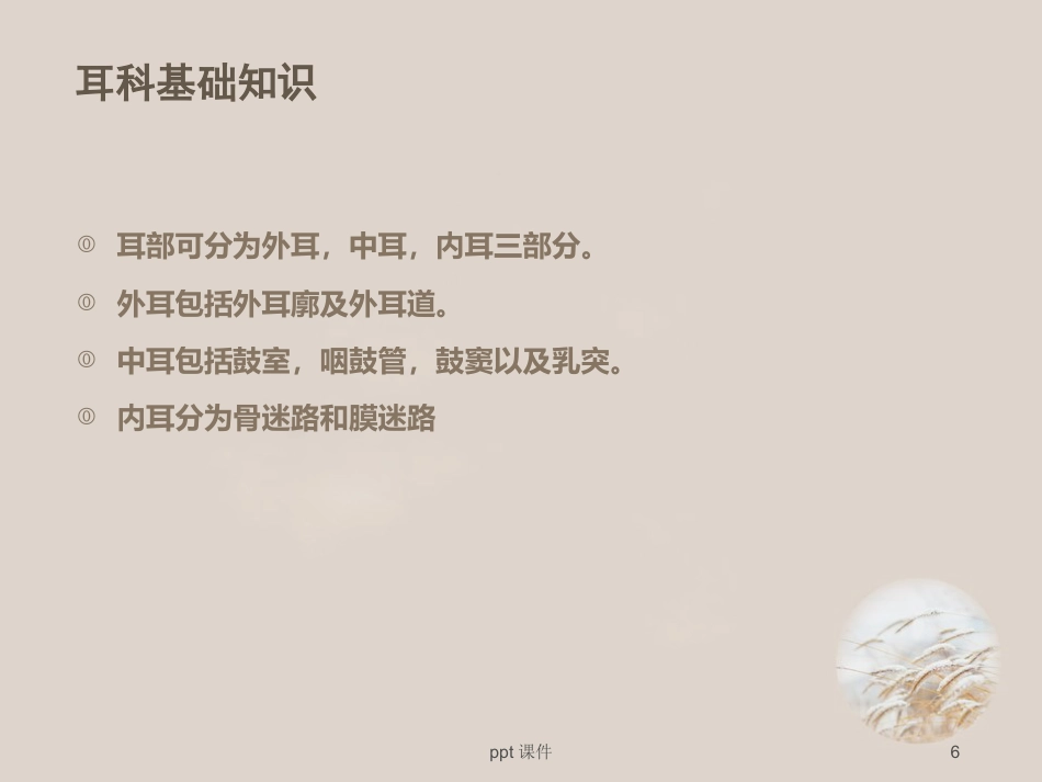 耳鼻喉眼常见病症及治疗 ppt课件_第6页