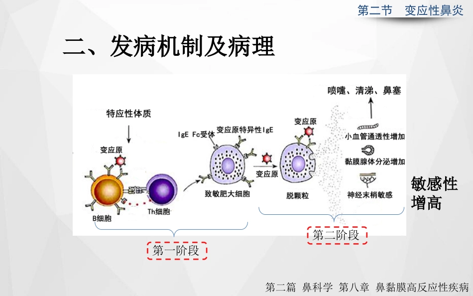 变应性鼻炎正式_第5页