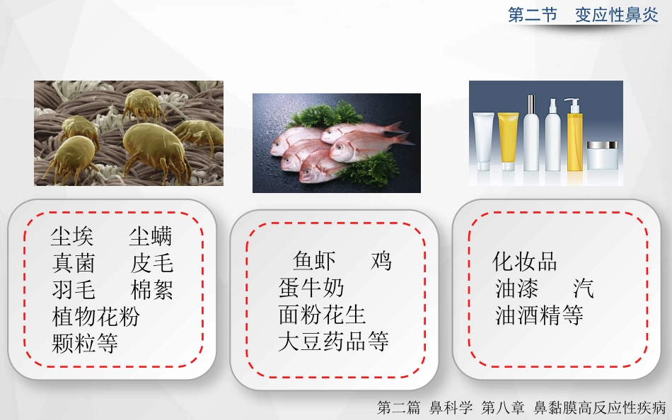 变应性鼻炎正式_第6页