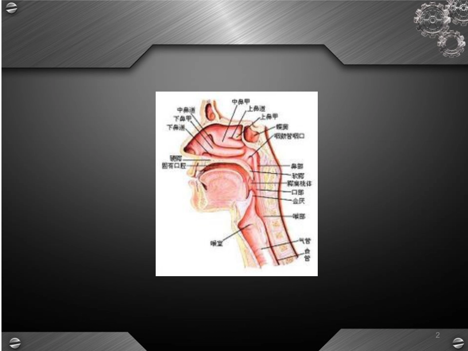 鼻后滴漏综合征(课堂PPT)_第2页