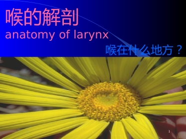 喉解剖急性会厌炎急慢性喉炎ppt课件