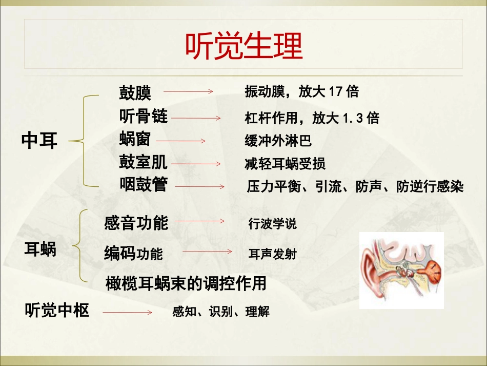 耳科常见疾病_第3页