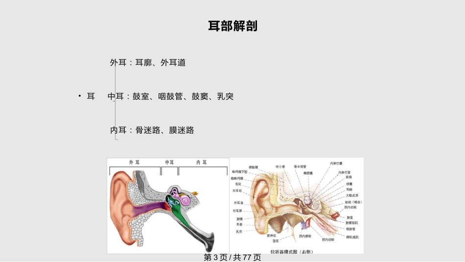 耳鼻喉科体检PPT课件_第3页