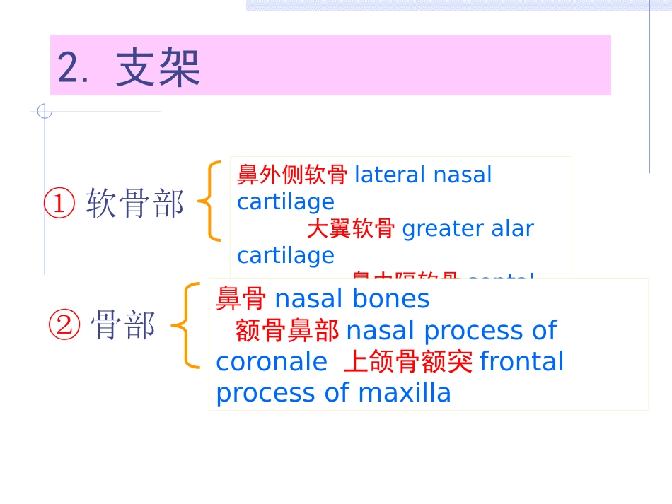 耳鼻喉科总论_第12页