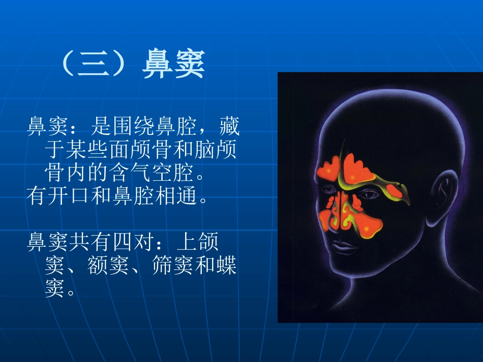 鼻部解剖及生理课件_第11页