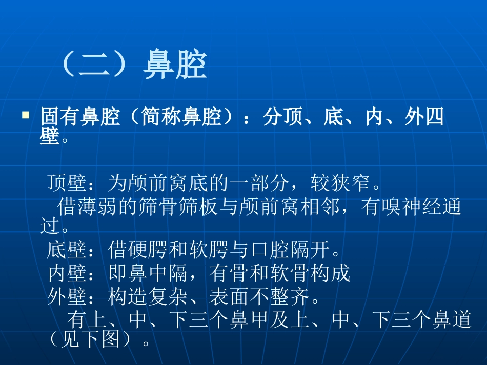 鼻部解剖及生理课件_第9页