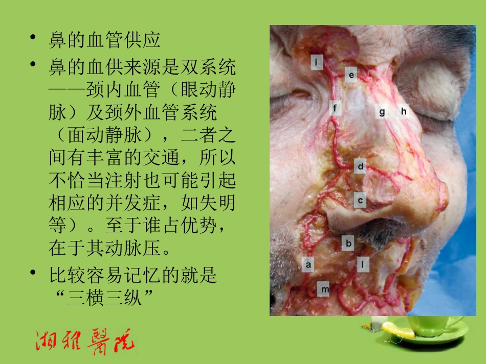鼻部透明质酸注射_第10页