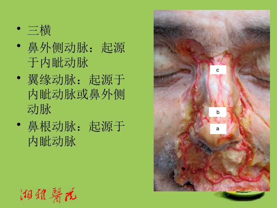 鼻部透明质酸注射_第11页