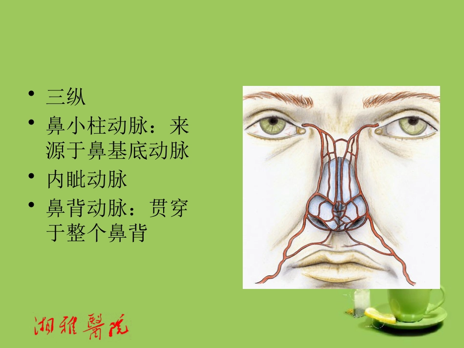 鼻部透明质酸注射_第12页