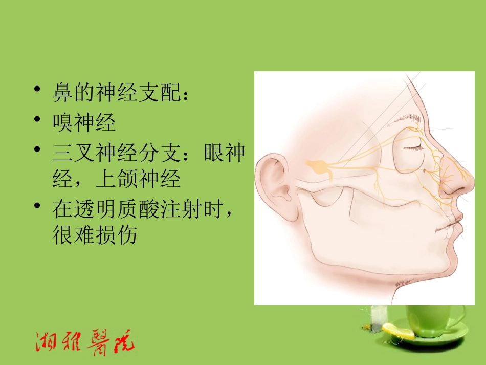 鼻部透明质酸注射_第13页