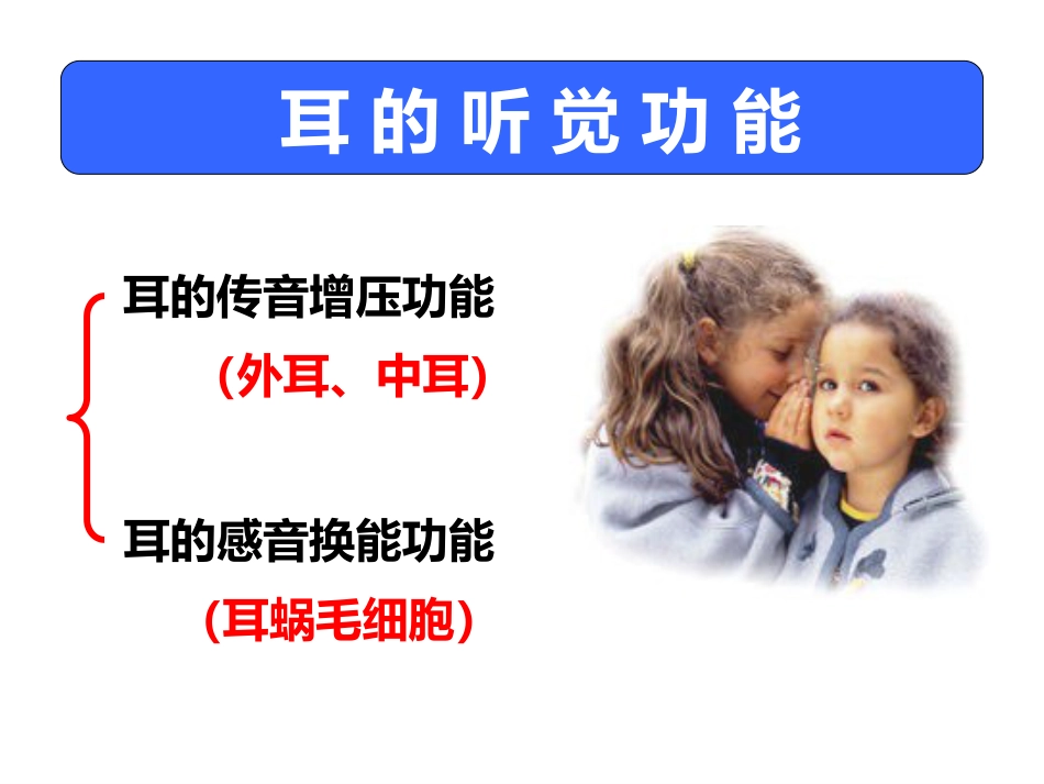 耳的听觉功能_第1页