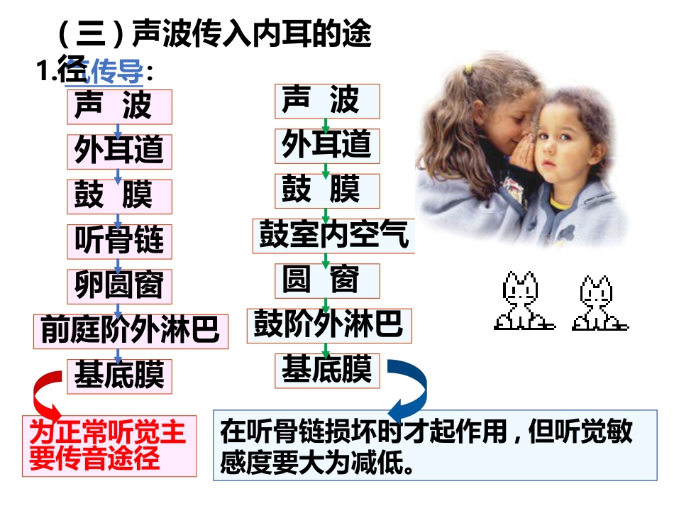 耳的听觉功能_第10页