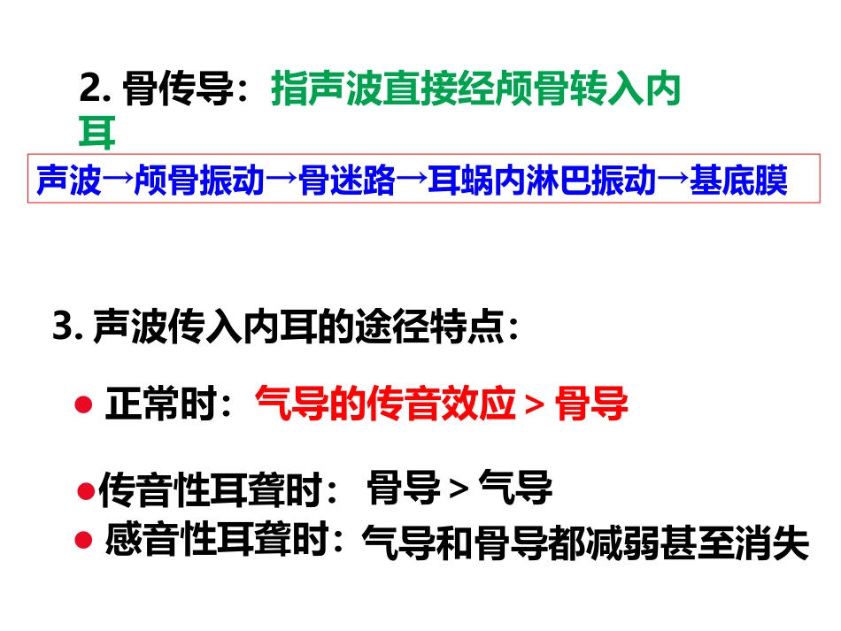 耳的听觉功能_第12页