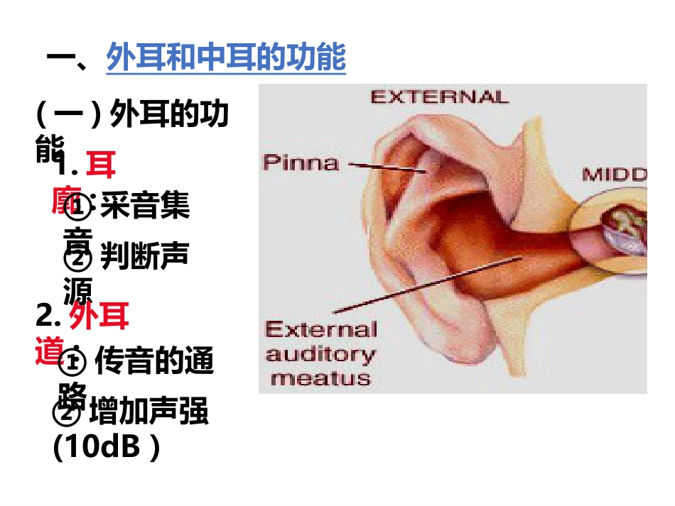 耳的听觉功能_第8页