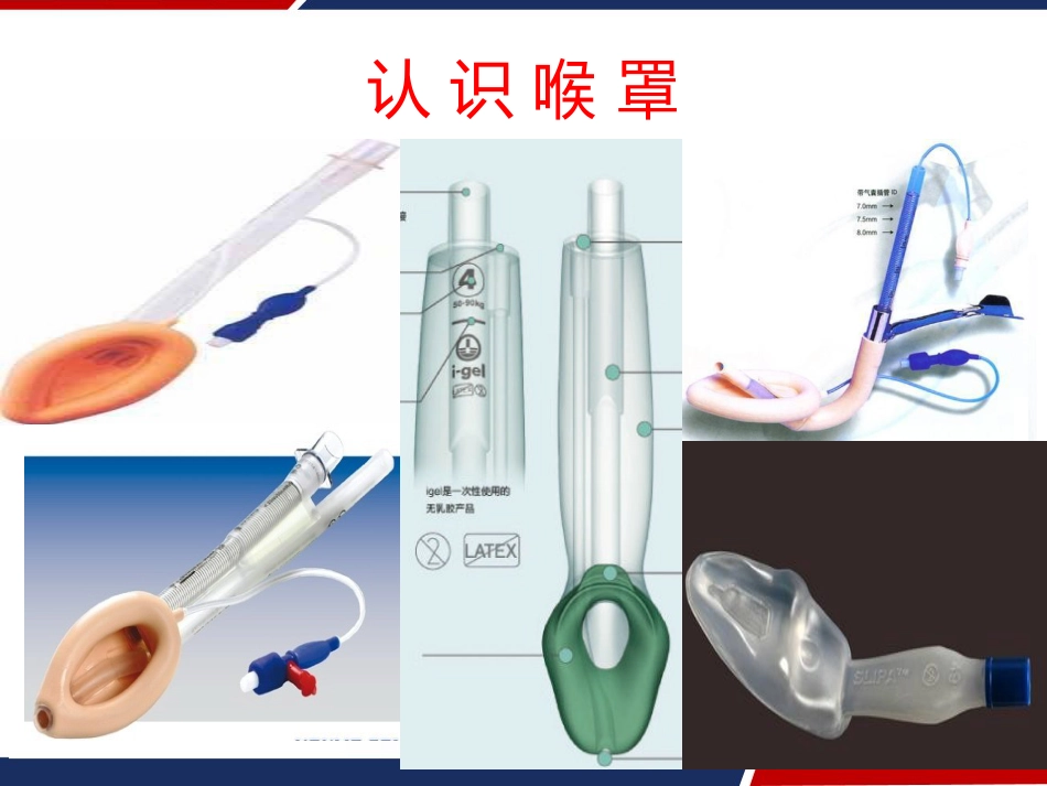 喉罩的临床应用 PPT_第3页