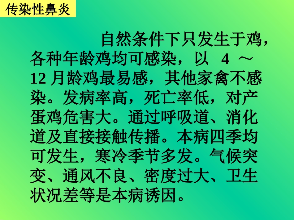 鸡传染性鼻炎及其防治_第4页