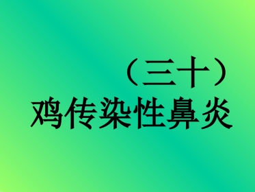 鸡传染性鼻炎及其防治