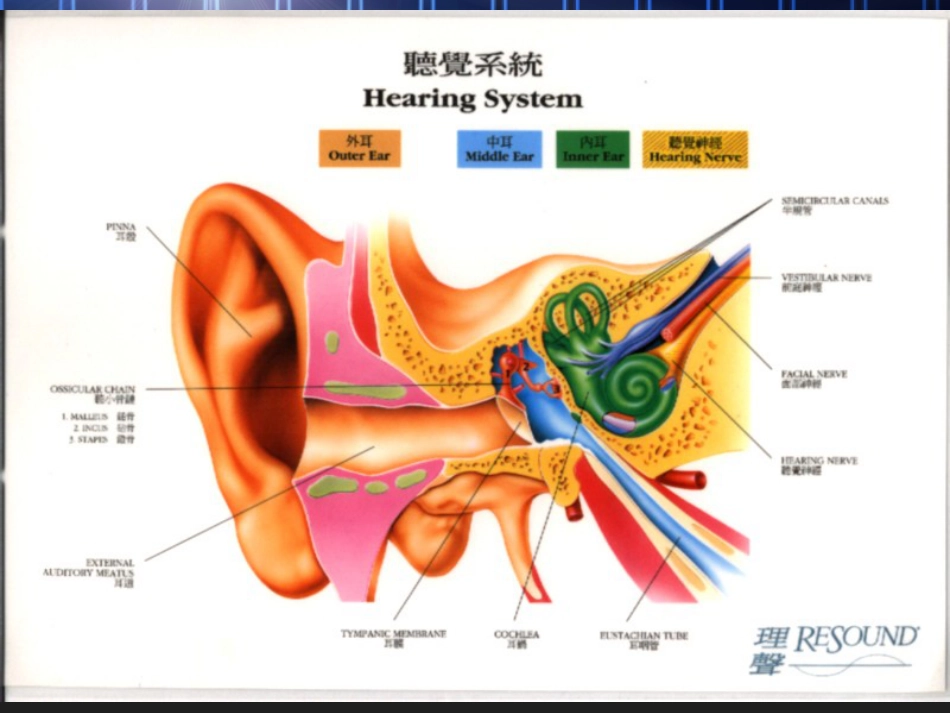 化脓性中耳炎及其并发症_第2页
