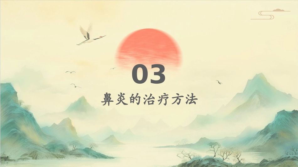 鼻炎病症PPT演示课件_第11页