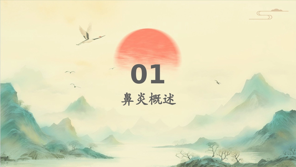 鼻炎病症PPT演示课件_第3页