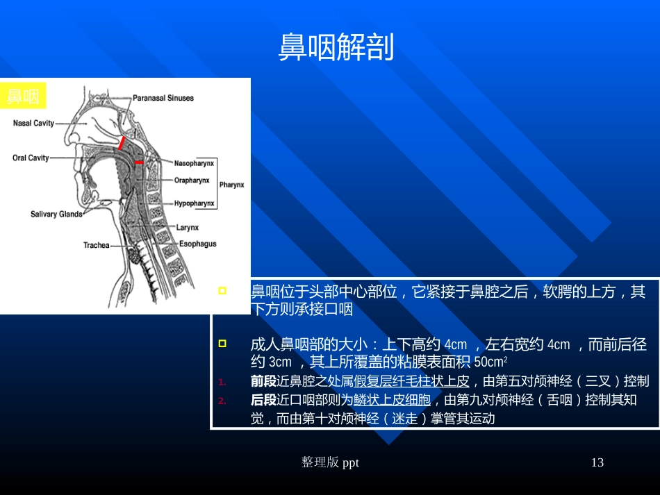 鼻咽癌靶区勾画_第13页