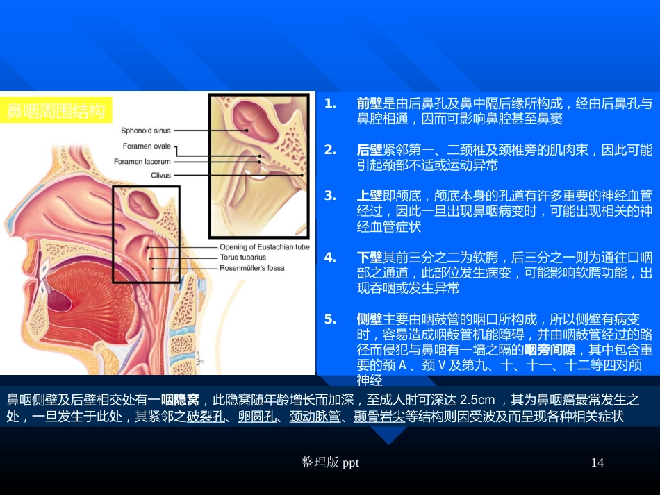 鼻咽癌靶区勾画_第14页
