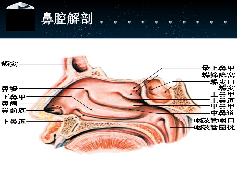 鼻腔冲洗在鼻咽癌放疗中的应用_第10页