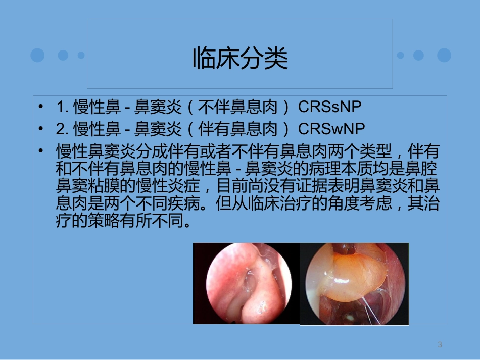 慢性鼻窦炎诊治及预后_第3页