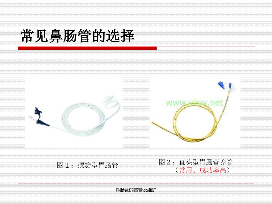 鼻肠管的置管及维护_第6页