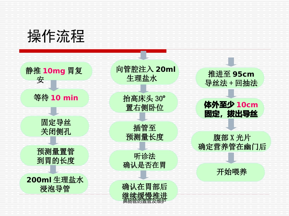 鼻肠管的置管及维护_第9页