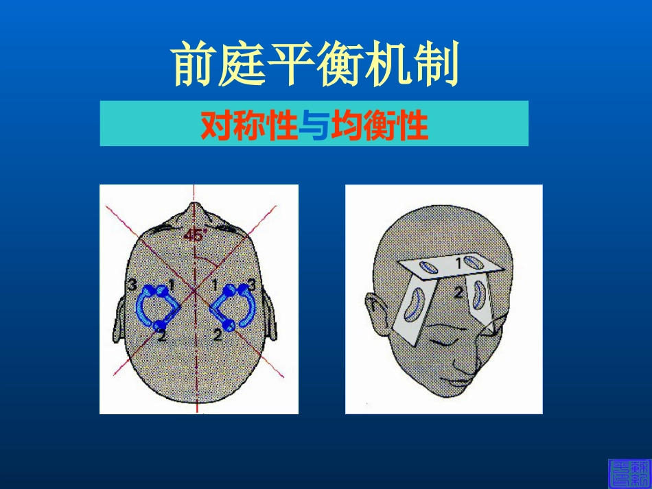 耳科症状学_第12页