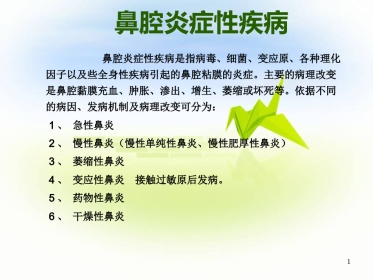 鼻炎PPT参考幻灯片
