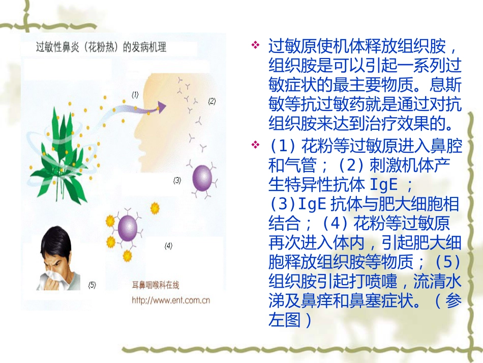 变态反应性鼻炎_第4页