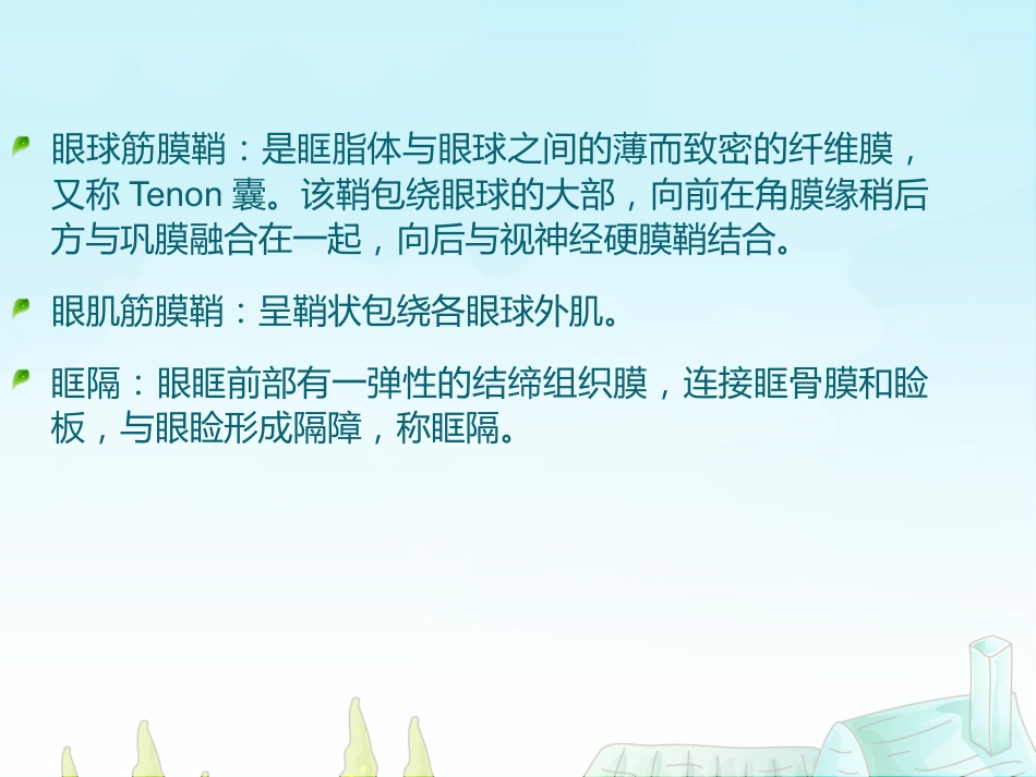 眼科护理查房眶蜂窝织炎的护理_第10页