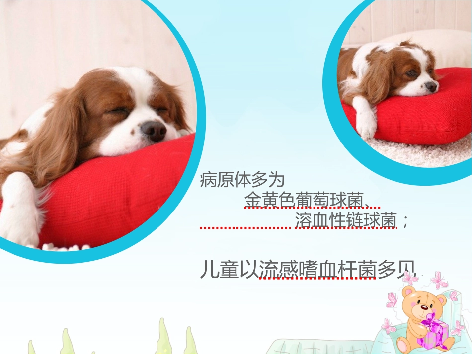 眼科护理查房眶蜂窝织炎的护理_第15页