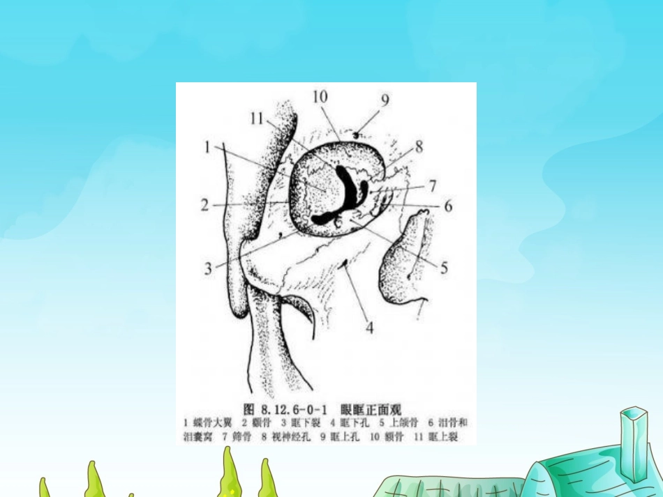 眼科护理查房眶蜂窝织炎的护理_第7页