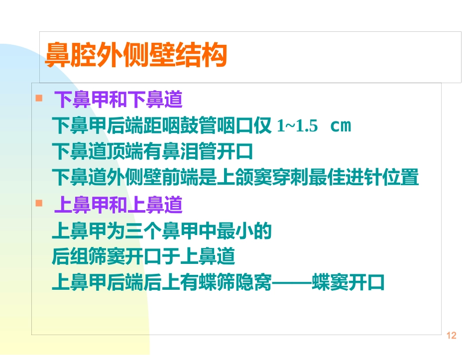 鼻解剖生理 ppt课件_第12页