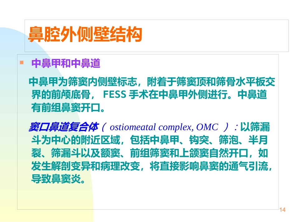 鼻解剖生理 ppt课件_第14页