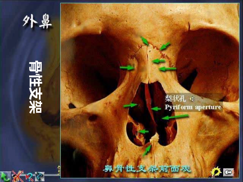 鼻解剖生理 ppt课件_第6页