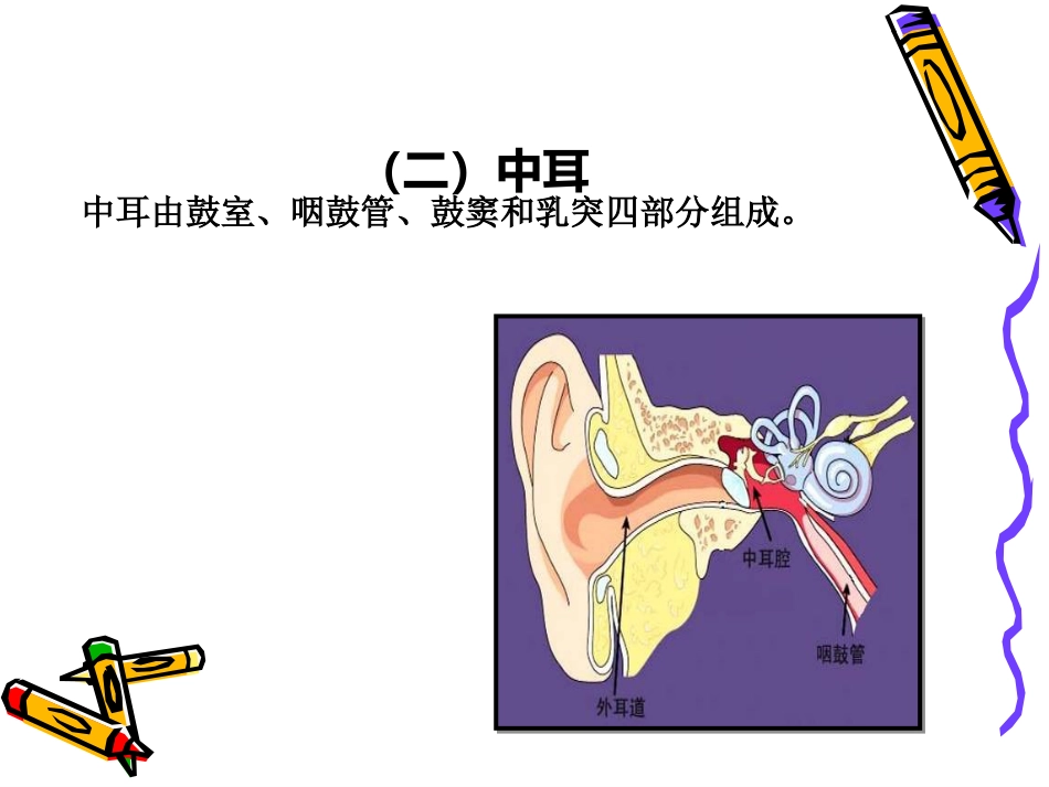 耳解剖_第8页